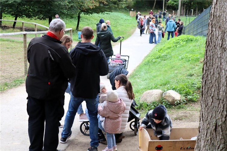 So viele kleine und große Gäste wie hier am Eröffnungstag kamen im Winter nicht in den Wildpark. Fotos:Uli Schmidt