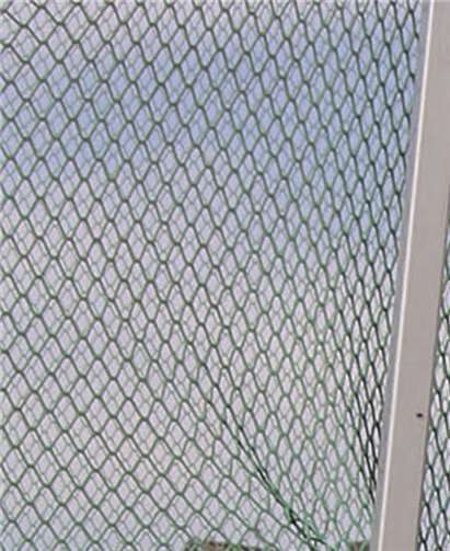 Sofie Hain warf einen neuen Kreisrekord mit dem Hammer.privat