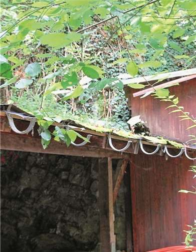 Sogar die Regenrinnen haben die Diebe mitgehen lassen. FFW
