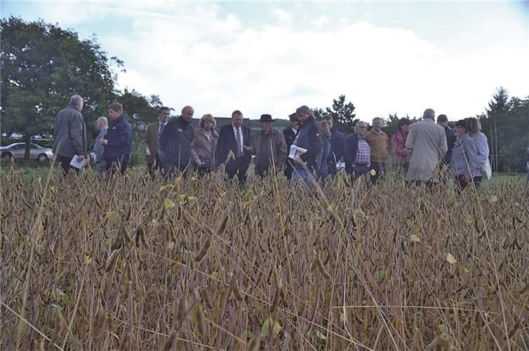 Sojaanbau im Kreis Ahrweiler - Die Familie Schlagwein hat eine Marktlücke für deutsche Produzenten entdeckt.