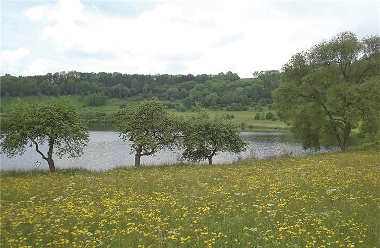 Solch ein schönes Panorama entschädigte die Wandergruppe für so manche Anstrengung. privat