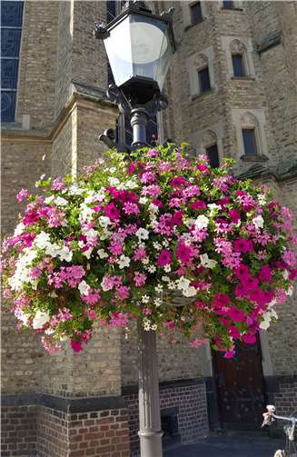 Solche schönen Flower Baskets für Laternen können auch bald in Ihrer Stadt aufgehängt werden. Fotos: Flower & Shower