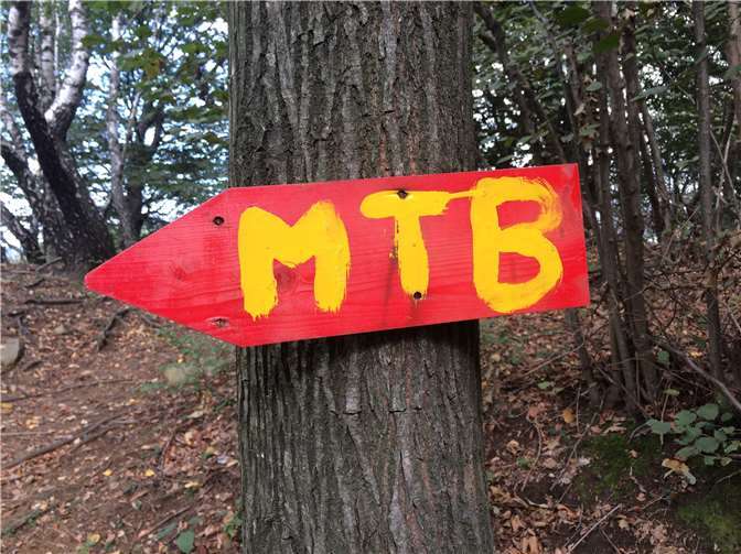 Soll auf der Montabaurer Höhe ein Mountainbike-Trail entstehen? MTB steht nicht etwa für Montabaur sondern zeichnet im Wald eigene Wegstrecken für Mountainbiker aus. Foto: Stadt Montabaur