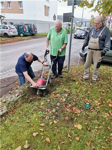 Sommerliches Wetter, mitten im Herbst, machte Laune bei der gemeinschaftlichen Pflanzaktion.  Foto: Kolping St. Martin/privat