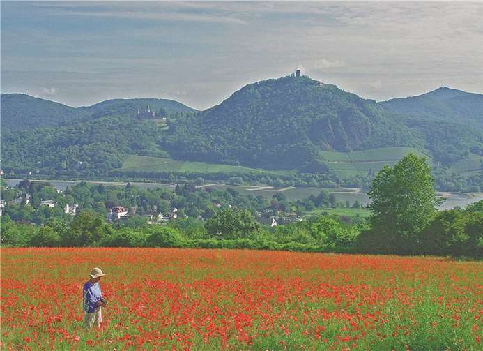 „Sommertag“. Heinz Contzen