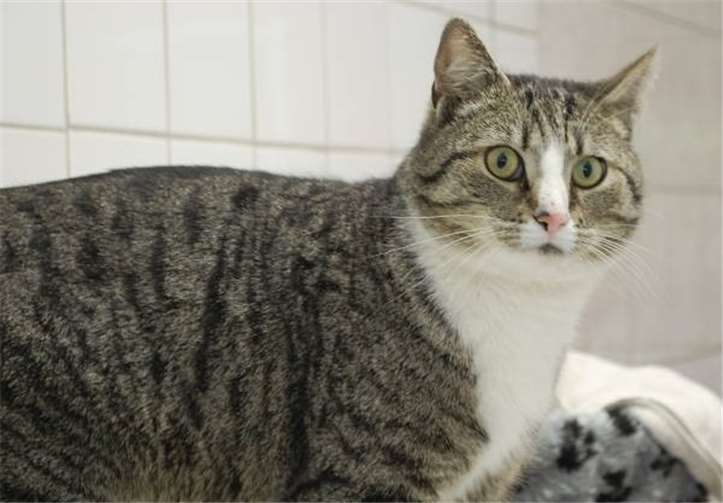 Sorgenkind Matze.privat