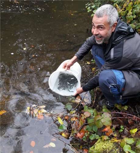 Sorgsam werden die Junglachse nach einem Wasseraustausch in die Elz entlassen.  TE