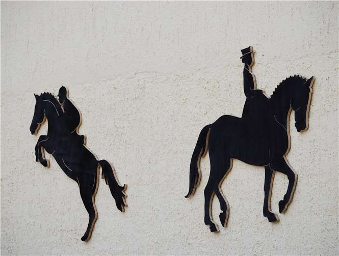 Sowohl Spring- als auch Dressurprüfungen werden am Wochenende des 22. und 23. September geritten. Privat