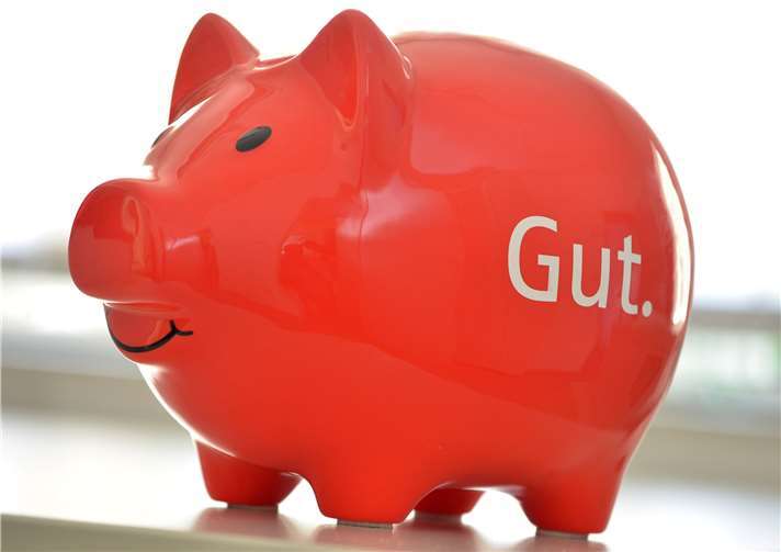 Sparschweine haben eine lange Tradition. Foto: KSK Mayen