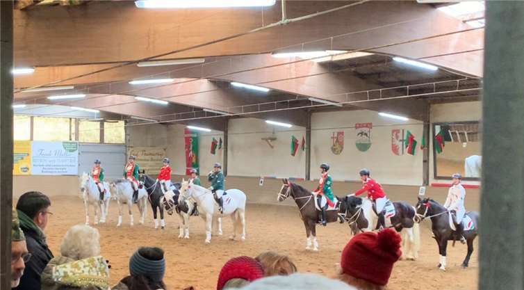 Spaß auf dem Reiterhof. Foto: TS