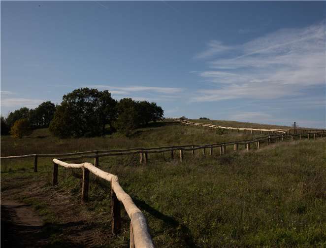 Spazierengehen ist hier für Mensch und Hund nur auf den Wegen erlaubt.