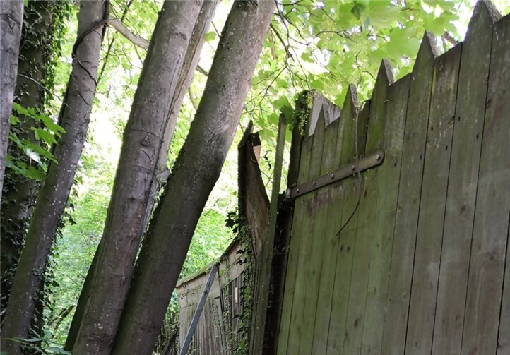 Spendenprojekt „Alt muss weg, Neu muss her: der Holzzaun“.