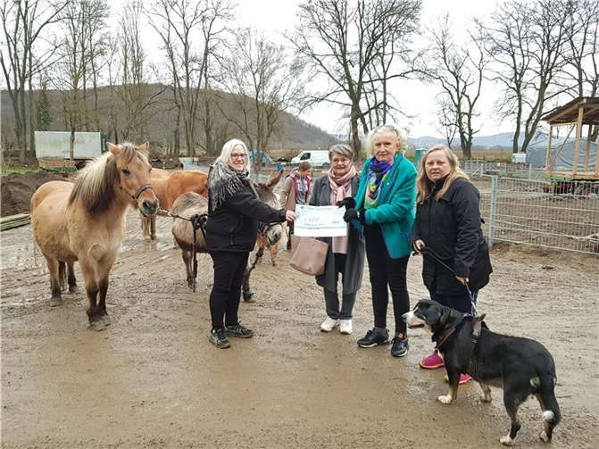 Spendenübergabe im Schwanenteich. Foto: privat