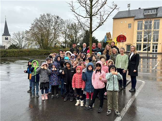Spender, Unterstützer, Initiatoren und die Baumpaten bei der offiziellen Übergabe der zukünftigen Schattenspender auf dem Schulhof der Grundschule Pfarrer Bechtel Mendig.  Foto: VG-Verwaltung Mendig/Stefan Pauly