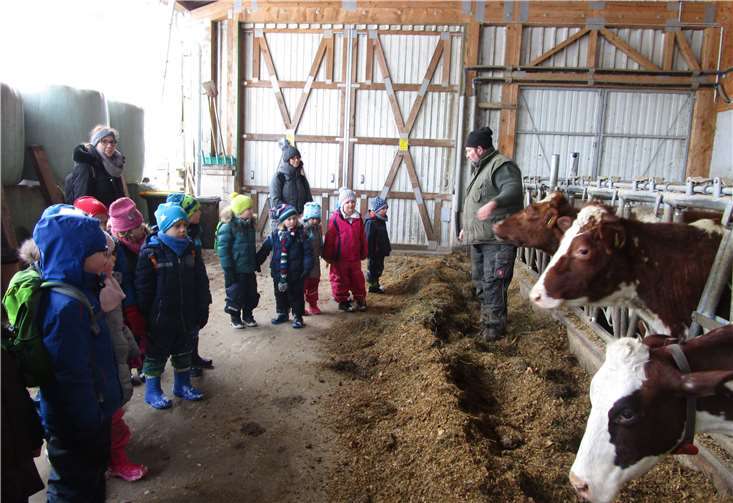 Spontan durften die Glühwürmchen auch noch den Kuhstall der Familie besuchen.Fotos: privat