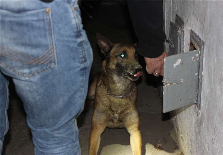 Spürhunde waren ebenso im Einsatz.