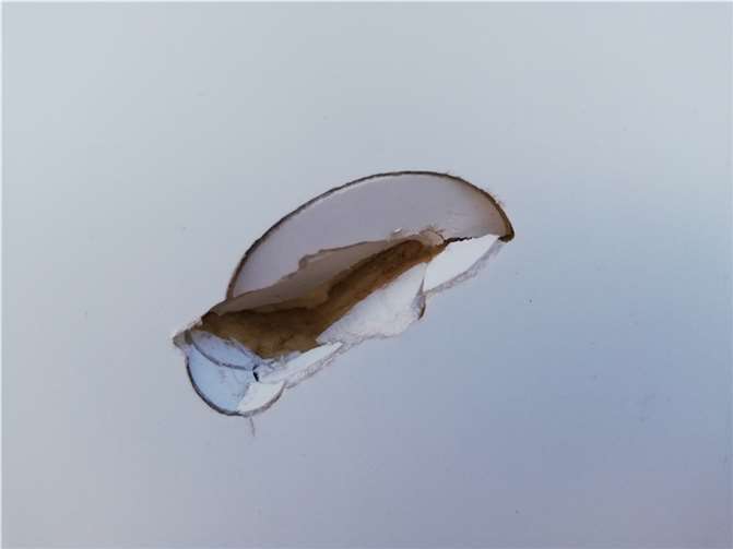 Spuren von Vandalismus.