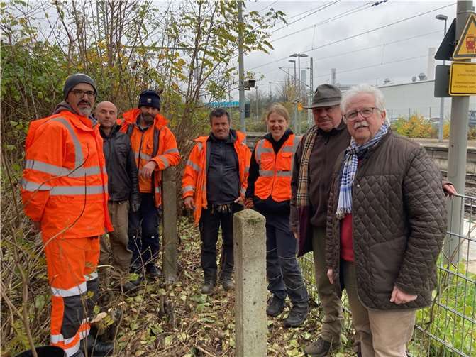 Stadtbürgermeister Gerd Heim, der sich selbst vor Ort informierte, dankte allen Beteiligten für ihr besonnenes und rücksichtsvolles Vorgehen im Sinne des Naturschutzes. Foto: Stadt Weißenthurm