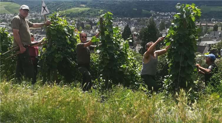 Stammtisch- Weinbarone im Weinberg bei Ahrweiler. Foto: privat