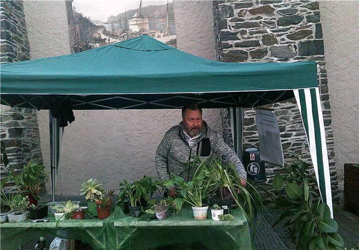 Stand der Pflanzentauschbörse am Funkenbrunnen. privat