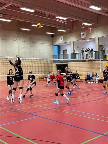 Starke Angriffe sorgten für den Gewinn der ersten beiden Sätze. Fotos: privat