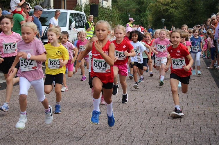 Start Bärchen U8