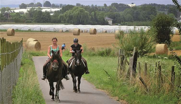 Start- und Zielpunkt der Suche war der Zingsheimer Hof.privat