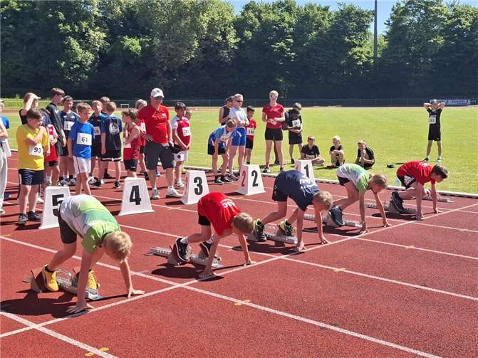 Start zum 50-Meter-Lauf mit Ole und Jonas in den grünen Trikots. Foto: S. Hahn