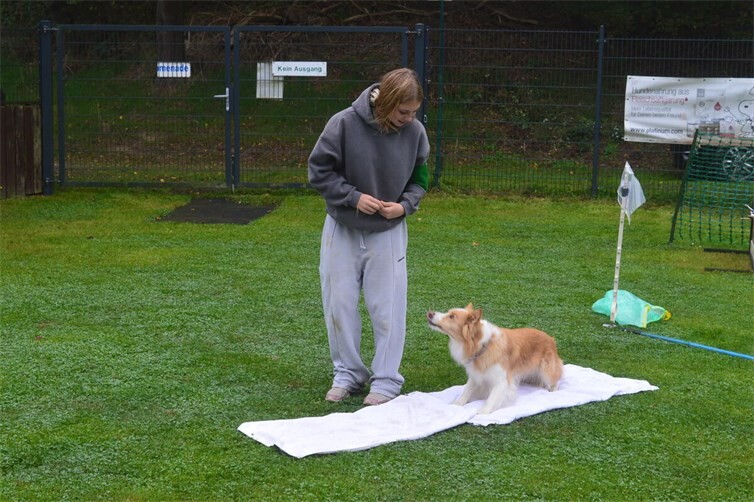 Station „Hundeminigolf“