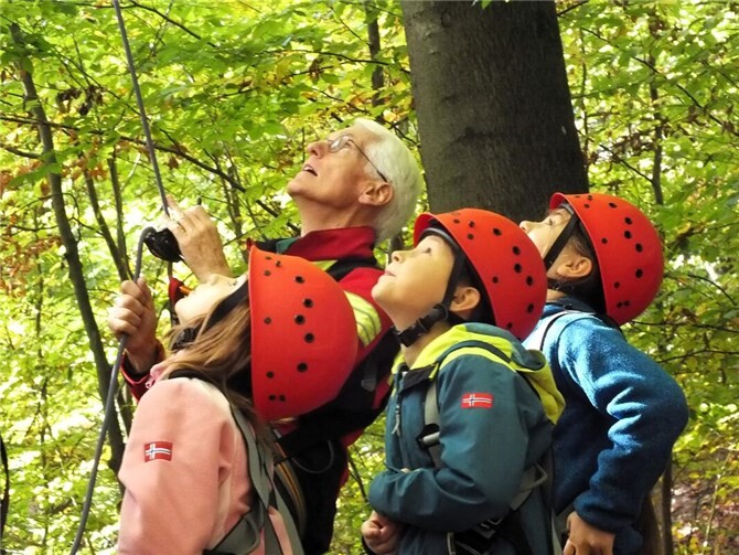 Zwei Wochen voller Spaß und Abenteuer   Staunen und Entdecken im Wald.