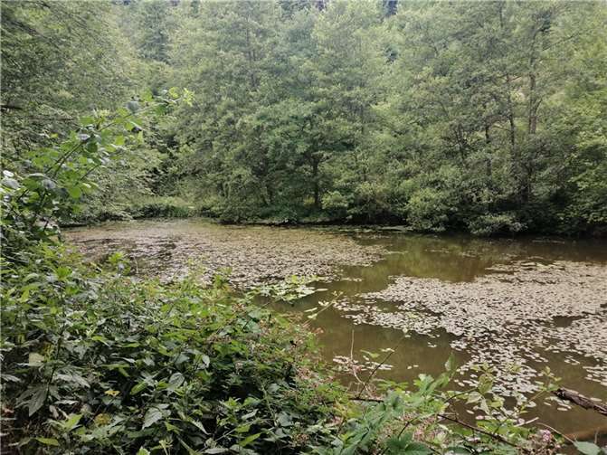 Stausee im Feisternachttal.