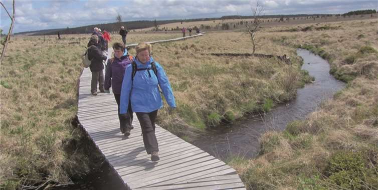 Stege aus Holz ermöglichten das Durchwandern der Moore.privat
