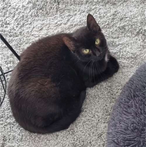 Sternchen. Foto: privat