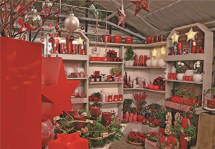 „Sternenzauber im abendlichen Lichterglanz“, gab es in jedem Winkel bei Blumen Brühl zu entdecken.US