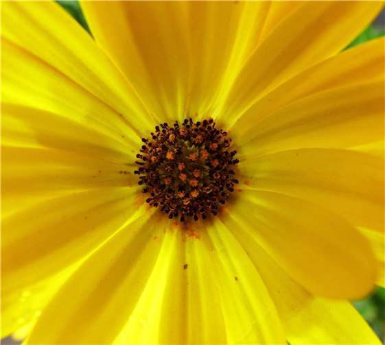 Stimmungsvolle Detailaufnahmen wie diese können in Weißenthurm bewundert werden. Foto: Karl Heinz Scheuren