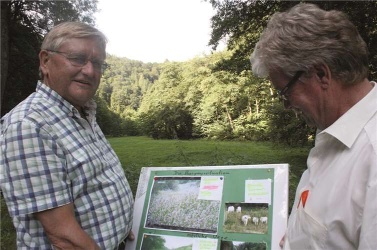 Stolz treten Ulrich Müller und Arno Kroll anhand eines Fotos und dem heutigen Zustand den Beweis für die erfolgreiche Springkrautbekämpfung an.