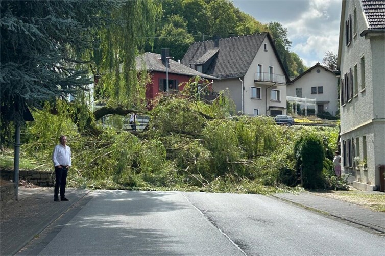 Strasse durch Baum gesperrt