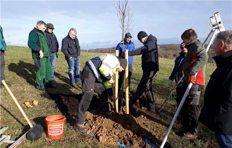 Streuobstbäume richtig pflegen: Der Workshop bietet wie der Kurs im Dezember 2019 neben theoretischen Inhalten vor allem auch praktische Übungseinheiten.Foto: Kreisverwaltung Ahrweiler