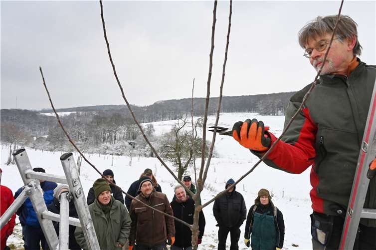 Streuobstbäume richtig pflegen: Der Workshop bietet wie der Lehrgang im Januar 2023 neben theoretischen Inhalten vor allem praktische Übungseinheiten.  Foto: Kreisverwaltung Ahrweiler