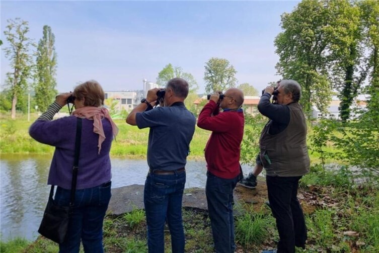 Stunde der Gartenvögel in Bad Neuenahr-Ahrweiler