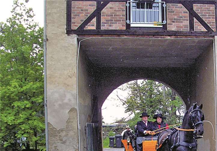 Stute Trienke zog das historische Gefährt.RV Bruchhausen e. V.