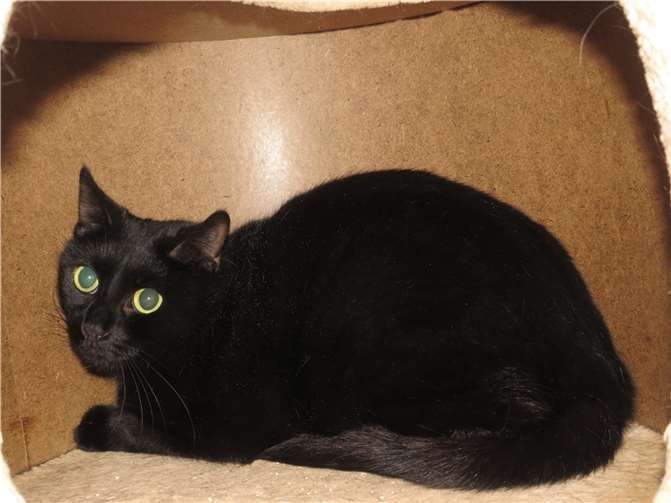 Sunny.  Foto: privat