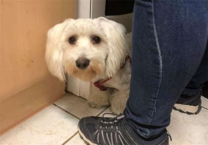 Sunny, die Schneeflocke.