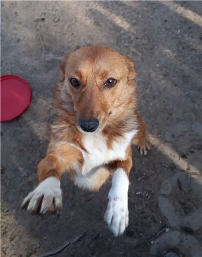 Suzanna spielt gern. privat