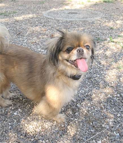 Svenja ist sehr verschmust.Privat