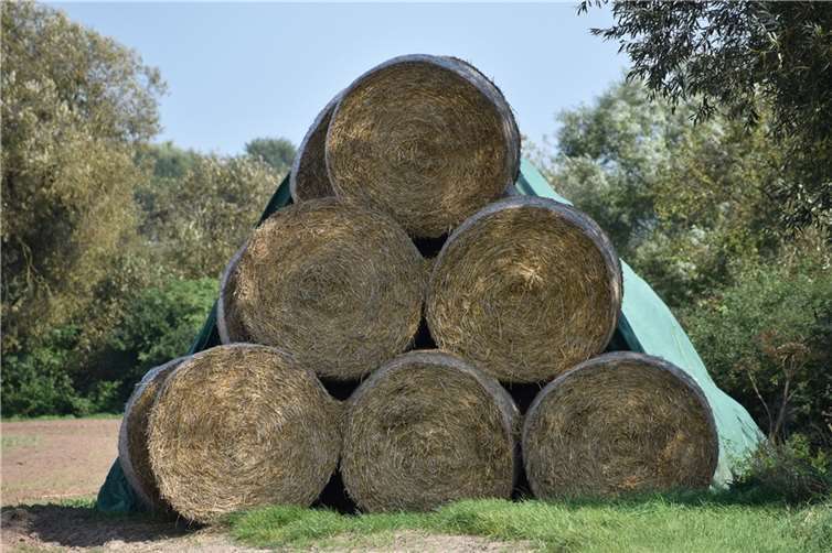 150 Strohballen standen in Flammen Symbobild. Foto: pixabay.com