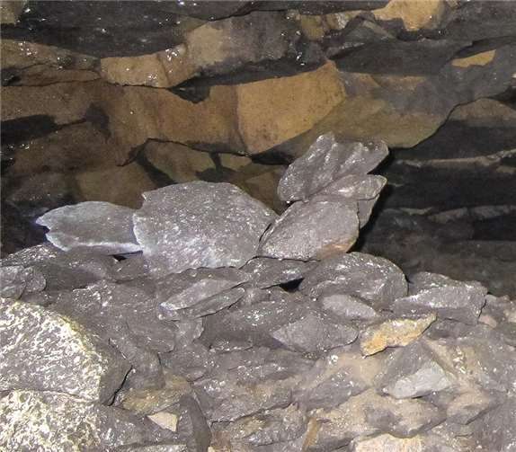 Symbolbild: A.Wehinger/LGB