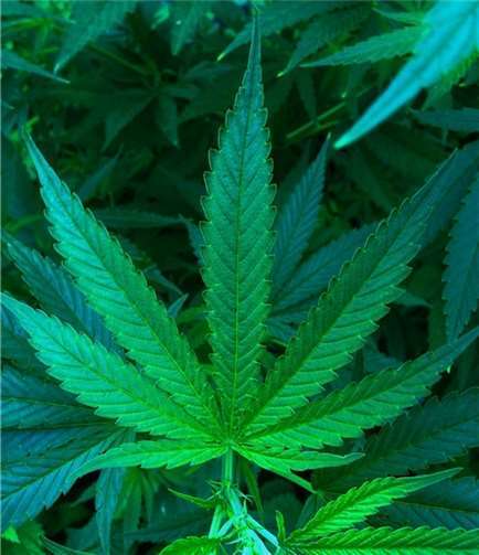 Symbolbild. Foto: 510318 / pixabay