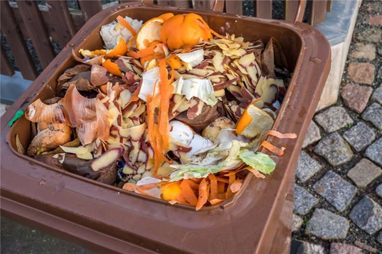 Symbolbild. Foto: © Animaflora PicsStock-stock.adobe.com