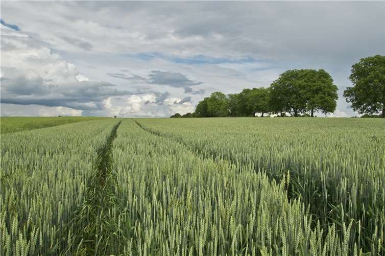 Symbolbild. Foto: Broin/pixabay